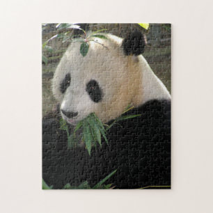 Puzzle Panda