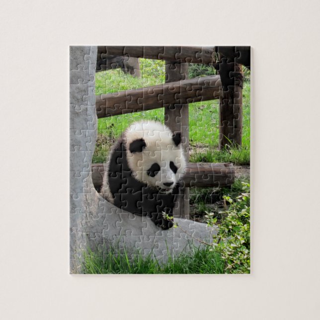 Puzzle Panda bébé (Vertical)