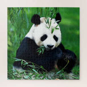 Puzzle Panda Manger Feuilles