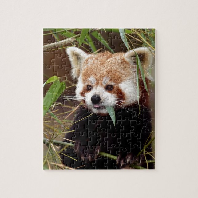 Puzzle Panda rouge (Vertical)