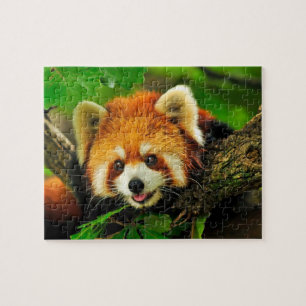 Puzzle Panda Rouge