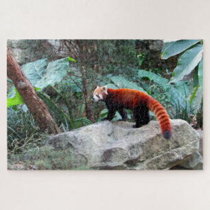 Puzzle panda roux