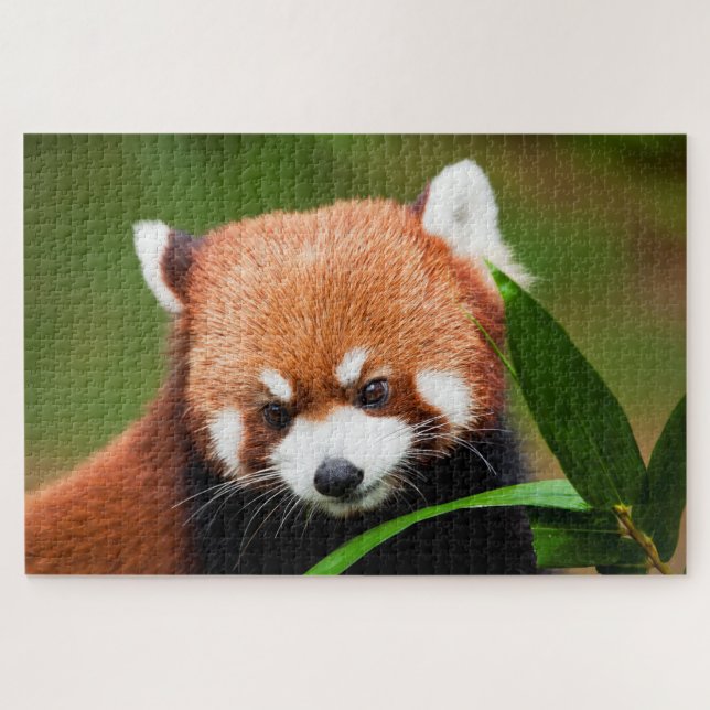 Puzzle Panda roux mignon (Horizontal)