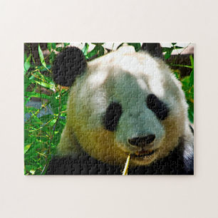 Puzzle Pandas géants.