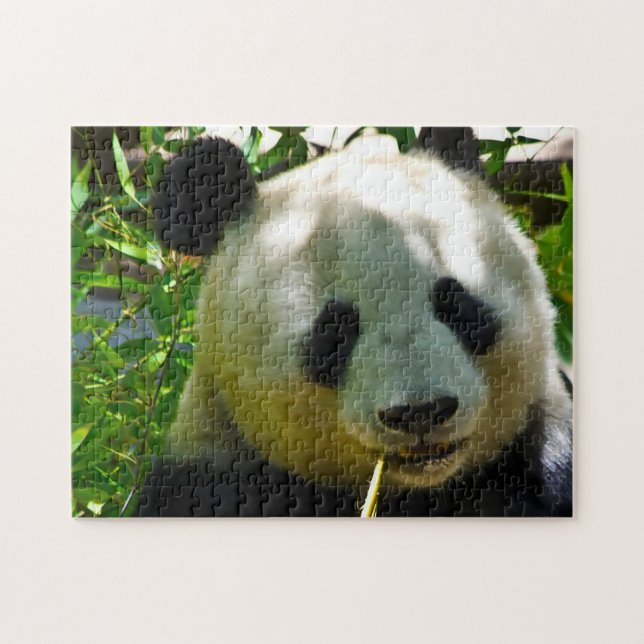 Puzzle Pandas géants. (Horizontal)