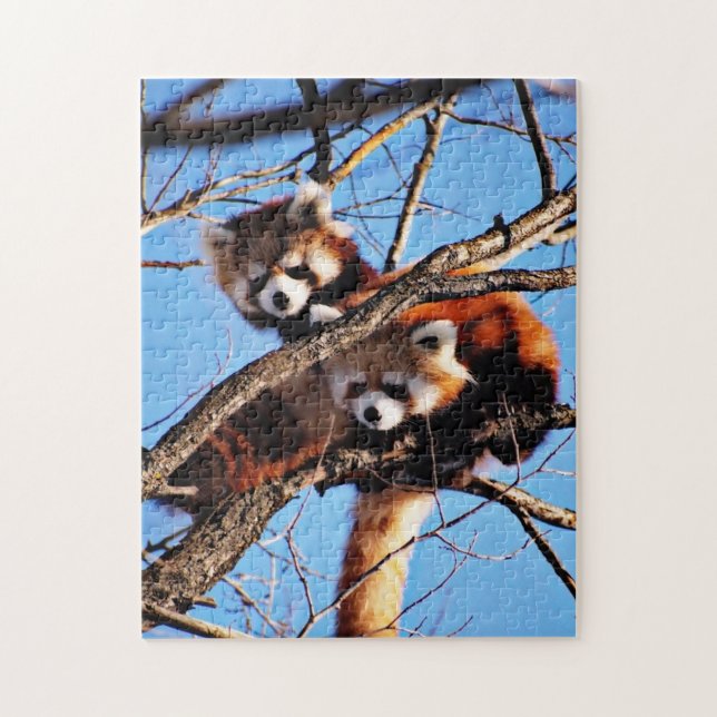Puzzle pandas rouges (Vertical)