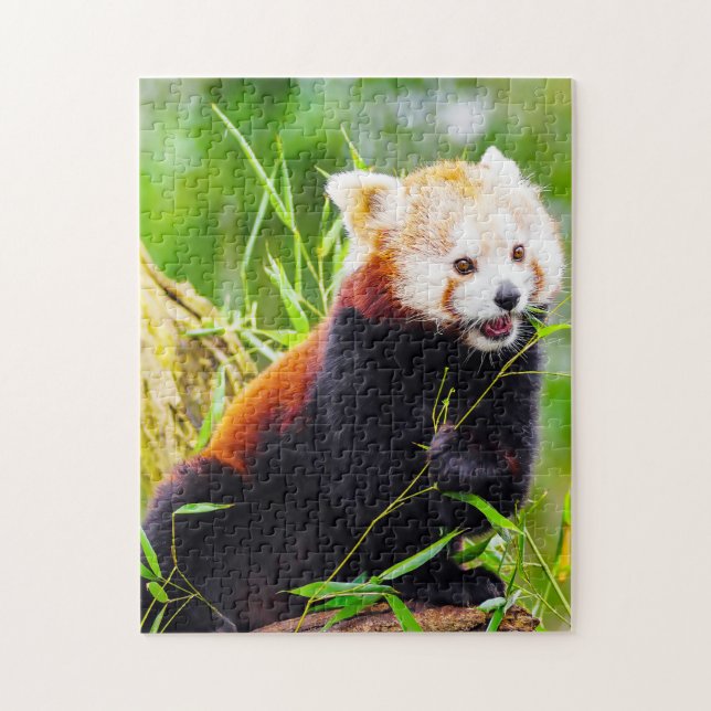 Puzzle Pandas roux. (Vertical)