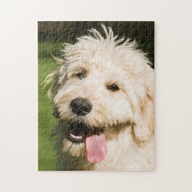 Puzzle Panneaux de chiot Goldendoodle (Vertical)
