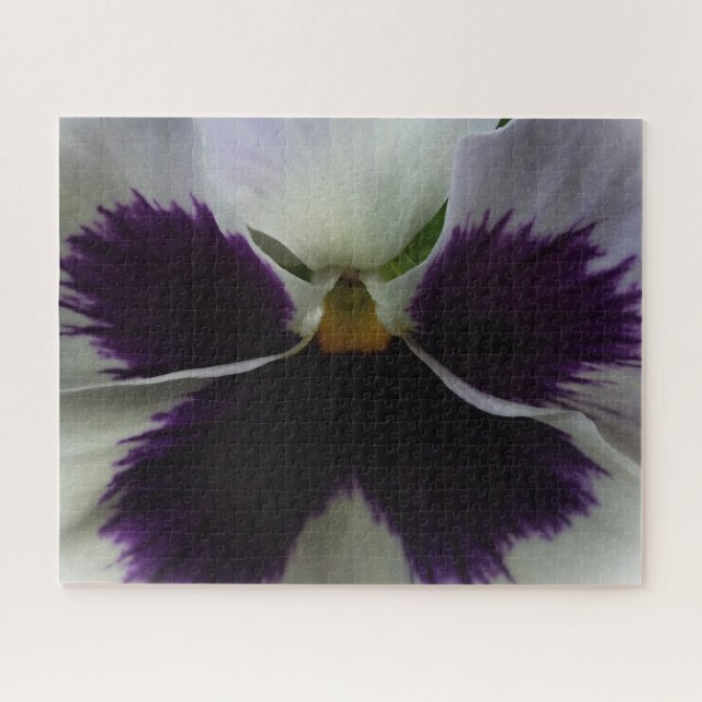 Puzzle Pansement pourpre et blanc (Horizontal)