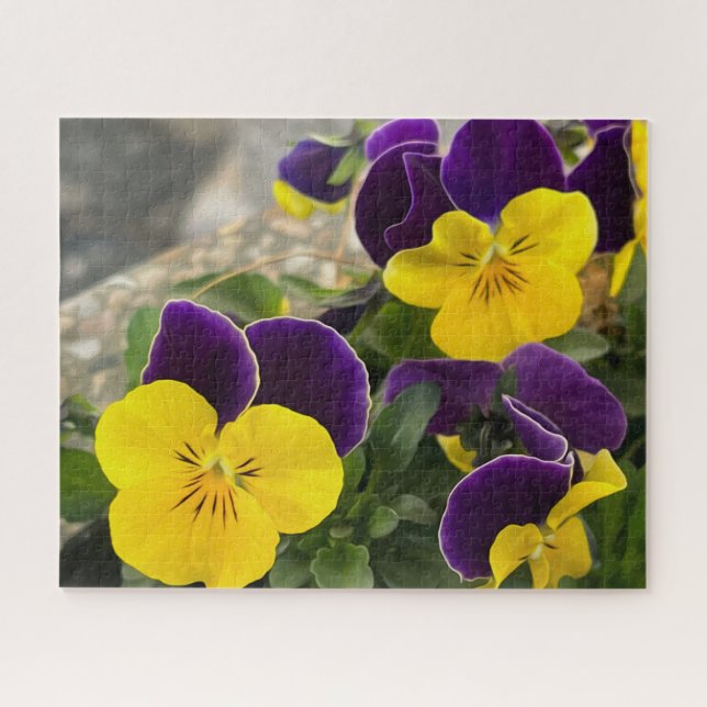 Puzzle Pansies jaunes violets (Horizontal)
