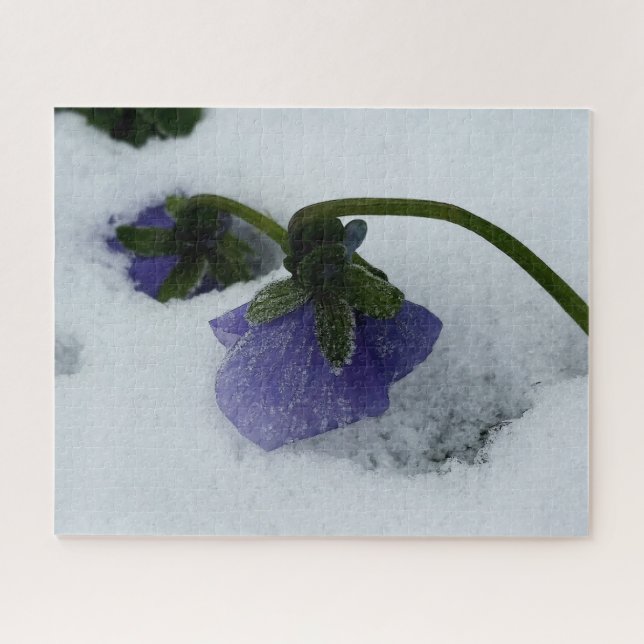 Puzzle Pansy violet sur la neige (Horizontal)