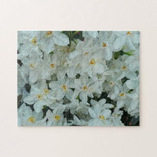Puzzle Paperwhite Narcissus Fleurs blanches délicates