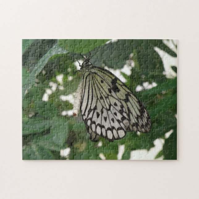 Puzzle Papier Tropical Kite Butterfly (Horizontal)