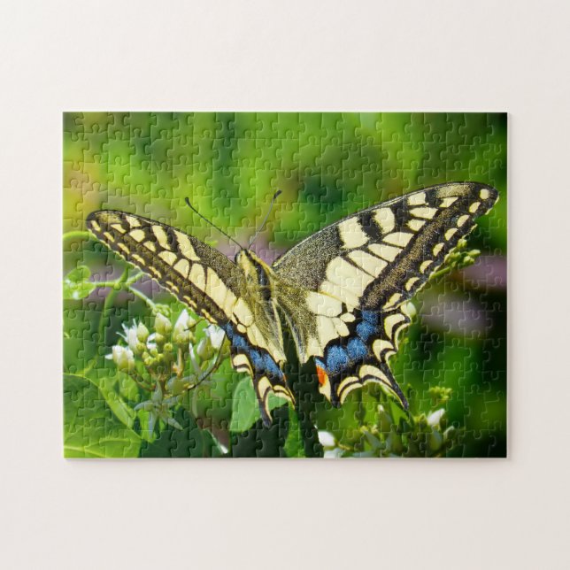 Puzzle Papilio Machaon Papillon. (Horizontal)