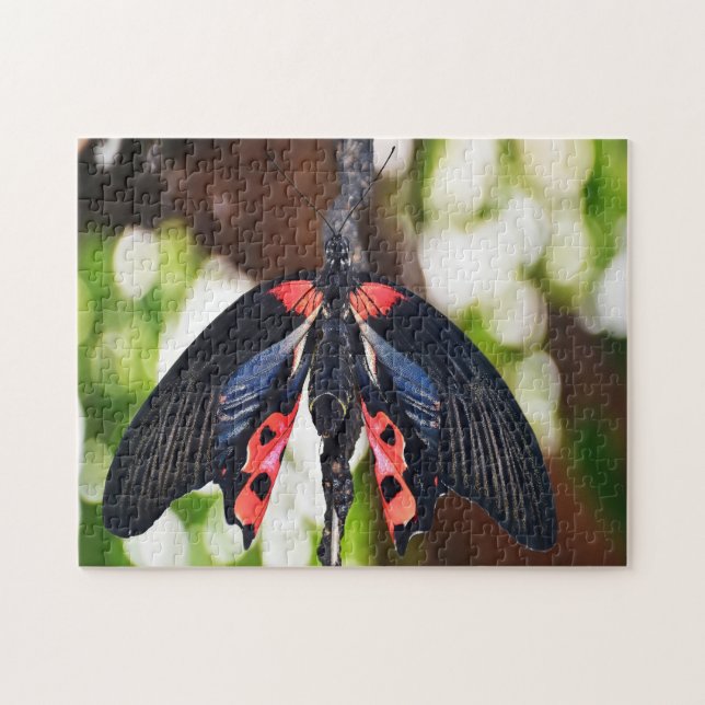Puzzle Papilio Rumanzovia Butterfly. (Horizontal)