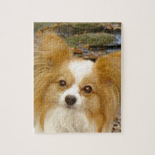Puzzle Papillon
