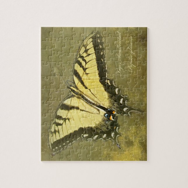 Puzzle Papillon à queue de tigre - Papilio glaucus (Vertical)