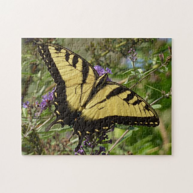 Puzzle Papillon à queue d'hirondelle sur Buddleia (Horizontal)