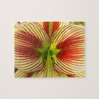Puzzle Papillon Amaryllis