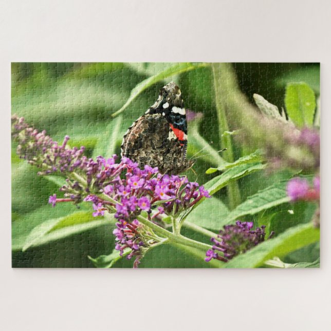 Puzzle Papillon Amiral Rouge (Horizontal)