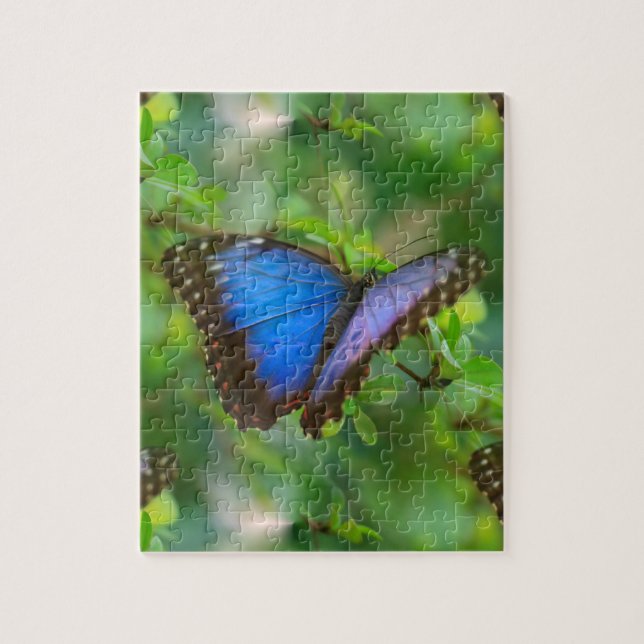 Puzzle Papillon bleu (Vertical)