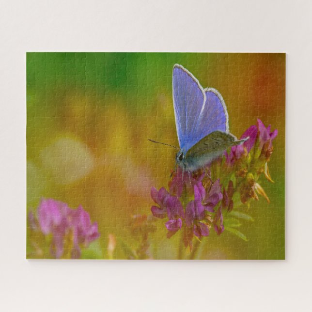 Puzzle Papillon bleu commun. (Horizontal)