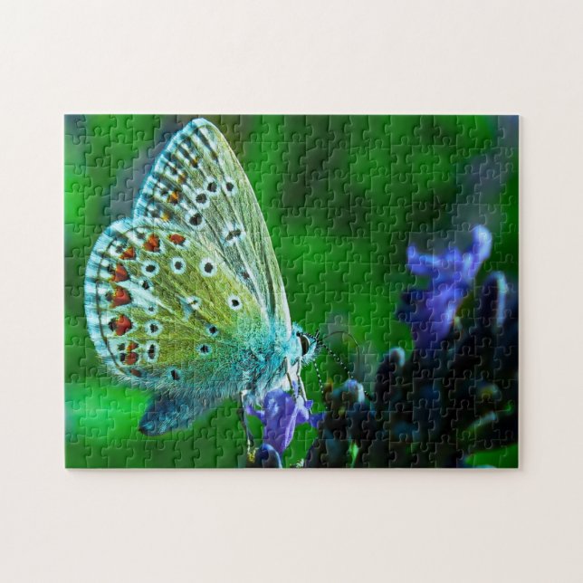 Puzzle Papillon bleu commun. (Horizontal)
