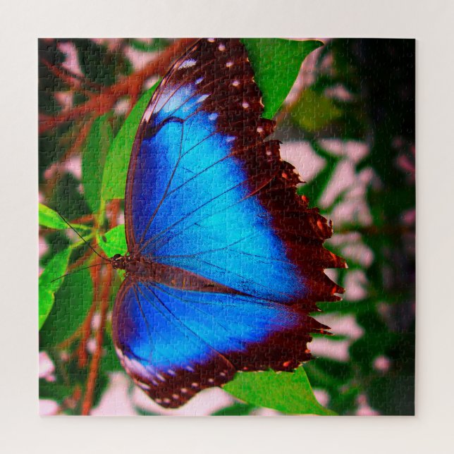Puzzle papillon bleu Morpho (Vertical)