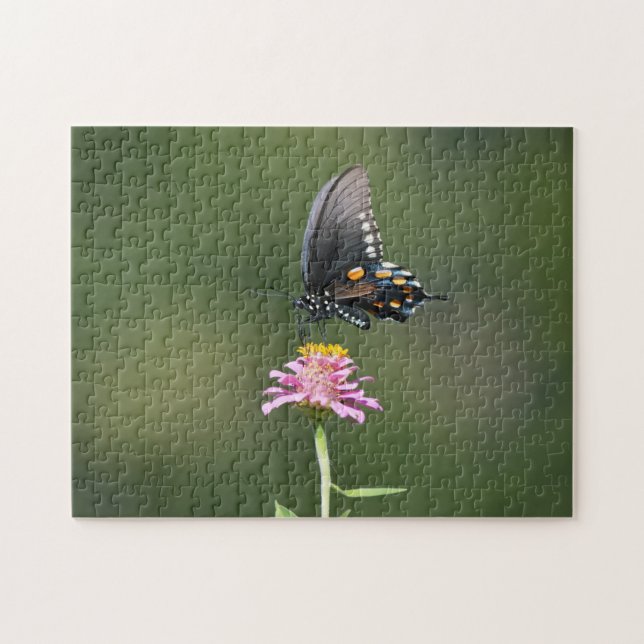 Puzzle Papillon bleu orange noir sur la nature rose des f (Horizontal)