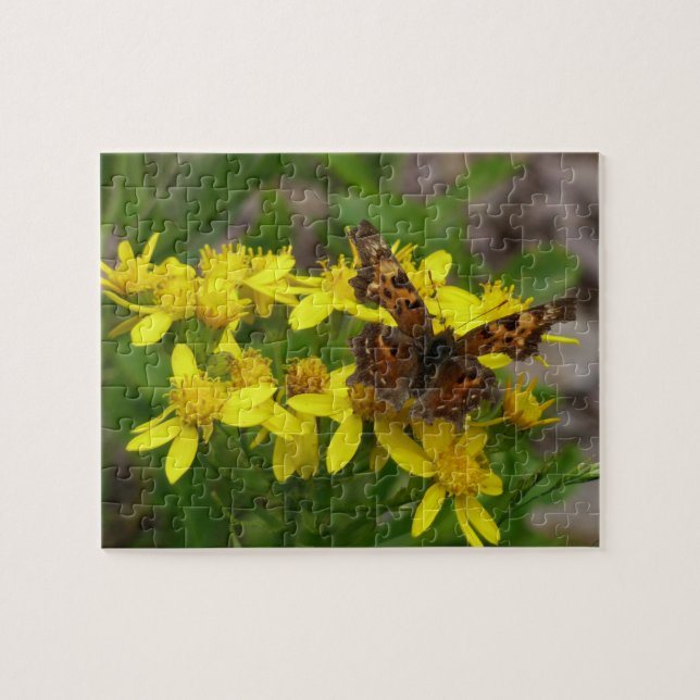 Puzzle Papillon Comma dans le parc national des Glaciers (Horizontal)