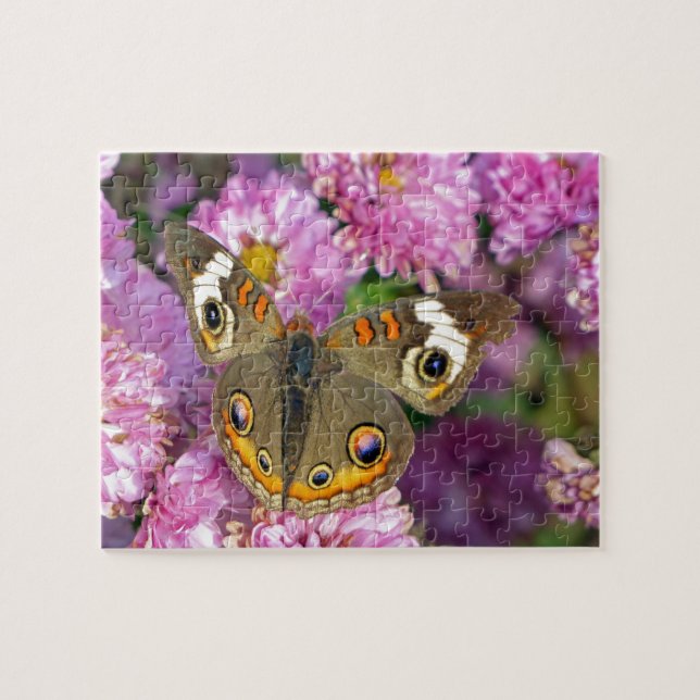 Puzzle Papillon commun (Horizontal)