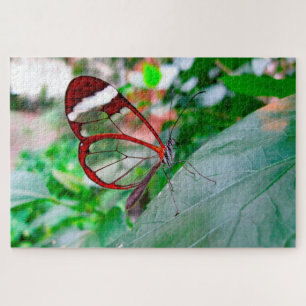 Puzzle Papillon d'aile en verre.