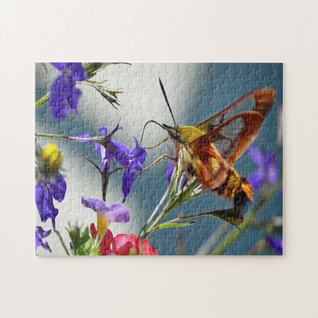 Puzzle Papillon de papillon de nuit Sphinx. (Horizontal)