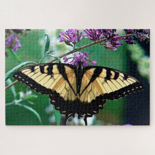 Puzzle Papillon du tigre oriental.