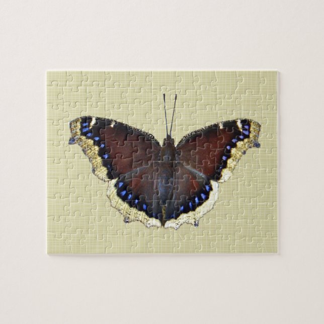 Puzzle Papillon en deuil - Nymphalis antiopa (Horizontal)