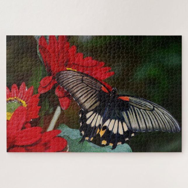 Puzzle Papillon et fleurs (Horizontal)