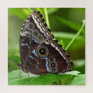 Puzzle Papillon foncé assis sur des Feuilles dans la natu