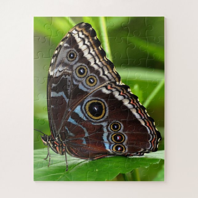 Puzzle Papillon foncé assis sur des Feuilles dans la natu (Vertical)