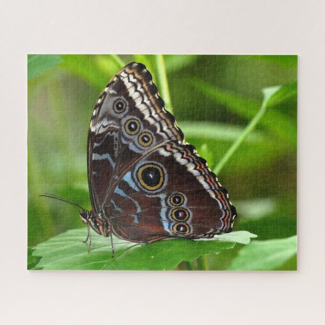 Puzzle Papillon foncé assis sur la feuille (Horizontal)
