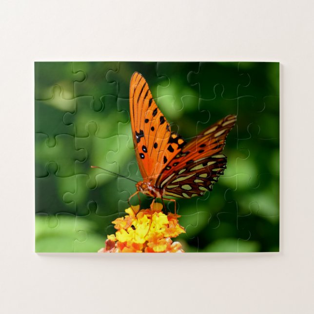 Puzzle Papillon Gulf fritillaire étiré  (Horizontal)