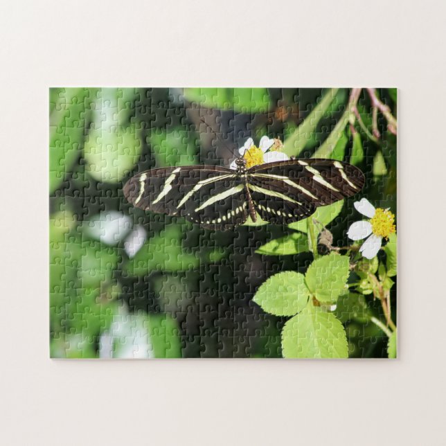 Puzzle Papillon Heliconius charithonia (Horizontal)