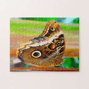 Puzzle Papillon Hibou.