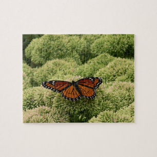 Puzzle Papillon Limenitis Artémis Photographie De La Bell