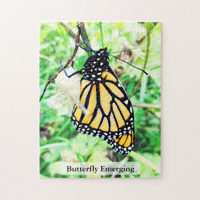 Puzzle Papillon Monarch en Éclosion 252Pcs (Vertical)