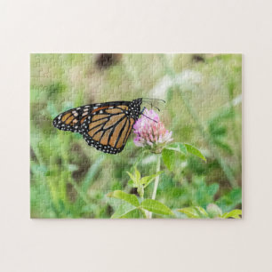 Puzzle Papillon monarque