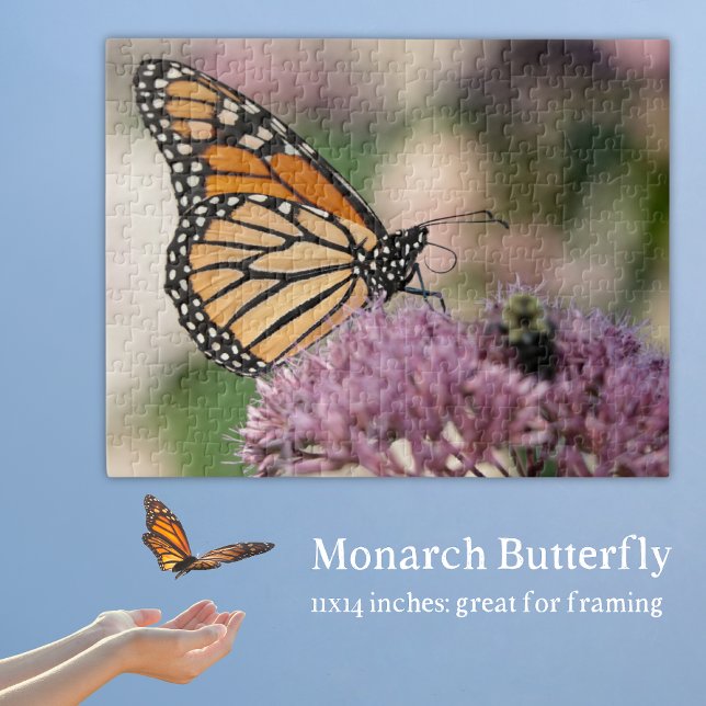 Puzzle Papillon monarque sur la nature Fleur sauvage auto (Monarch Butterfly Puzzle with a monarch on Ohio native wildflower joe pye weed.)