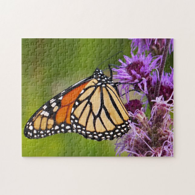 Puzzle Papillon Monarque sur Liatris (Horizontal)