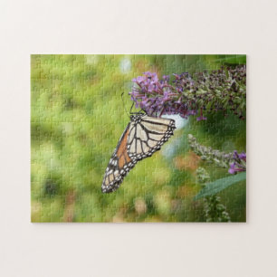Puzzle Papillon Monarque sur papillon pourpre Bush