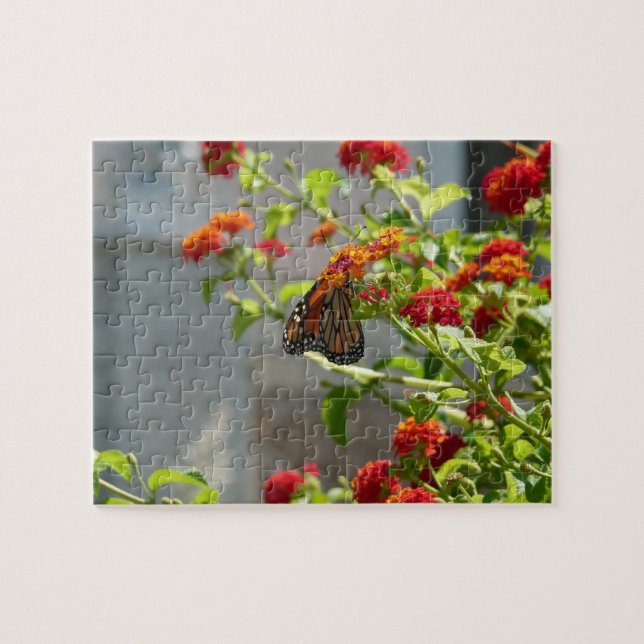 Puzzle Papillon Monarque sur un Buddleia Rouge (Horizontal)