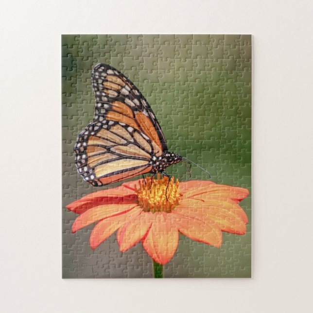 Puzzle Papillon Monarque sur une fleur d'orange (Vertical)